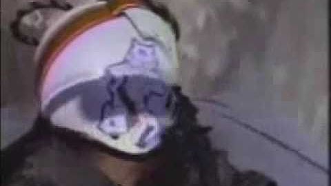 F-14 Tomcat  Tribute