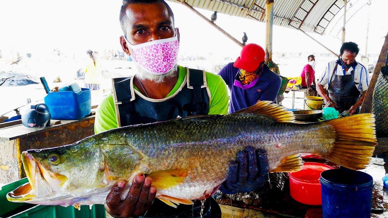 Cutting Sea Bass Fish Fish Cutting Skills YouTube