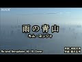 雨の青山/キム・ヨンジャ Roland Aerophone AE-10 Cover