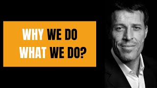 THE 6 Basic Human  Needs