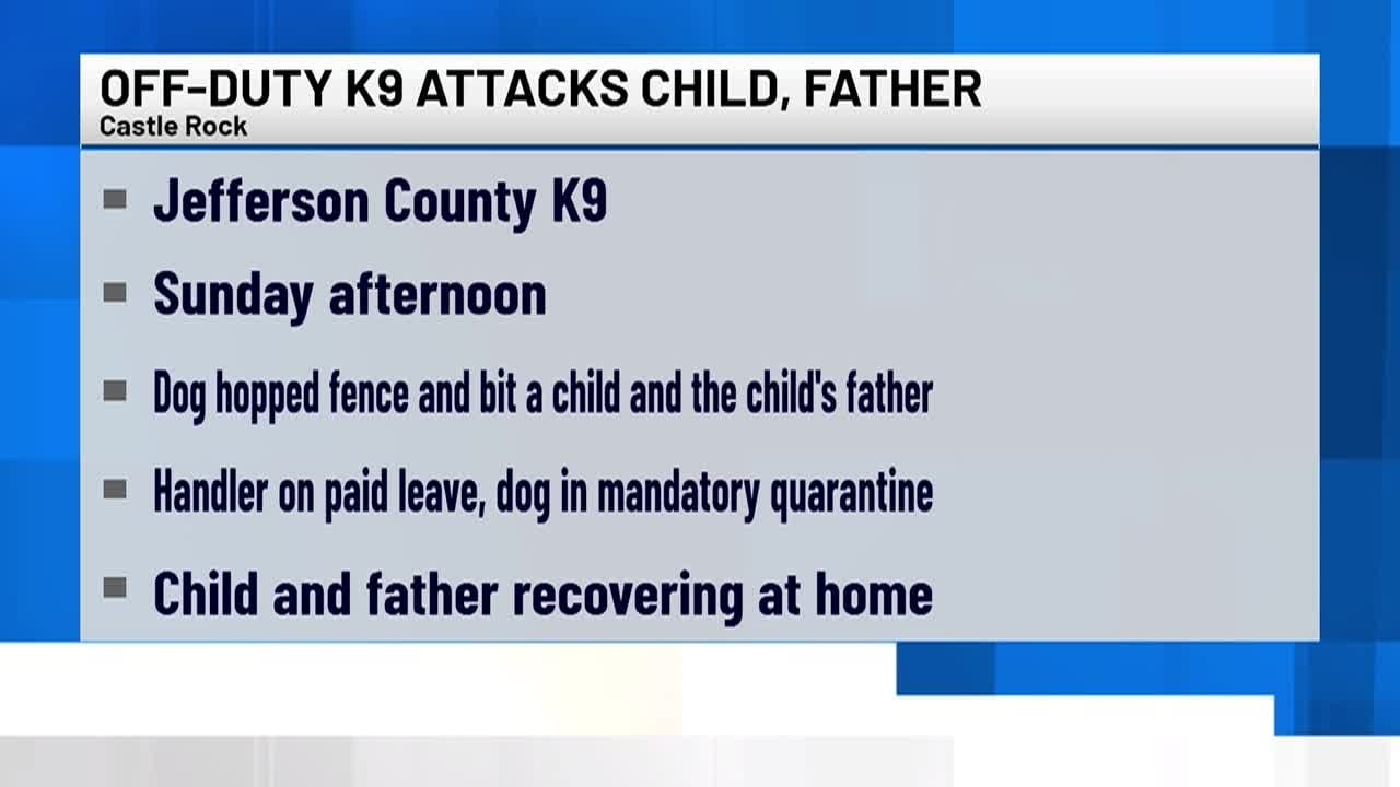 watch-off-duty-sheriff-s-office-k9-attacked-child-and-man-in-castle