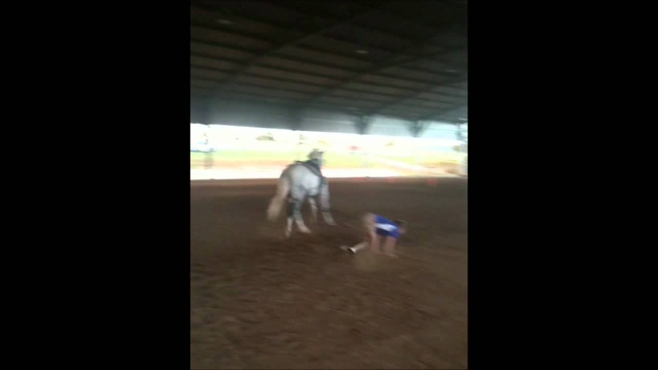 Equestrian Vaulting - Devon Maitozo and Ellen from MEV