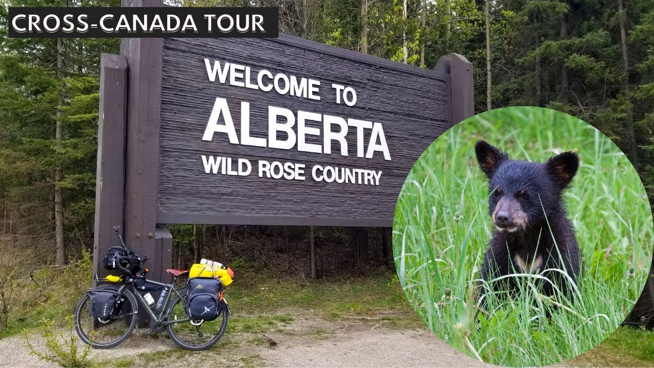 Crossing into Alberta | Cycling Solo Across Canada, Ep.13 | Mt. Robson, BC to Jasper, AB