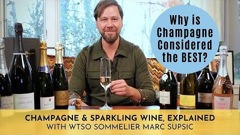 WTSO Sommelier Explains Champagne: The Best Sparkling Wine | Wine Tips 🍾