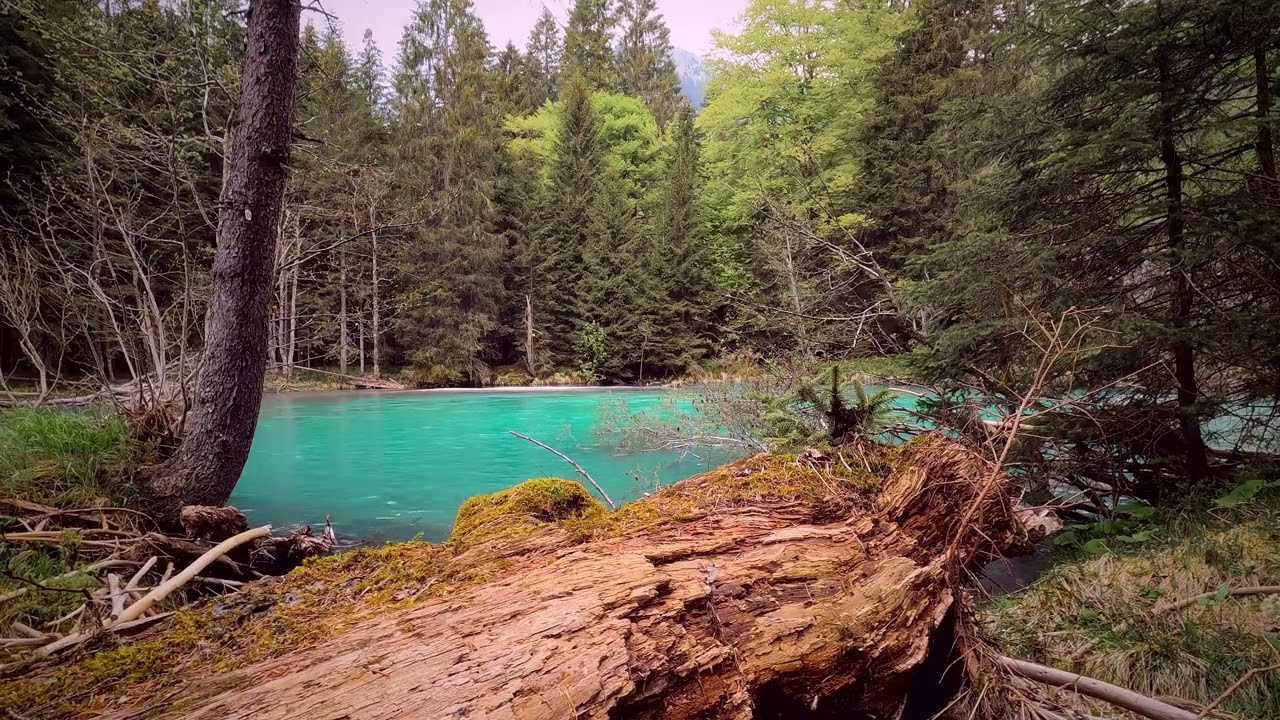 10 Hours 4K Relaxing Lake Scenery: 10 Hours of Peaceful Nature Sounds for Sleep & Study