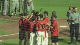 Coldwater baseball wins state on 6/9/19