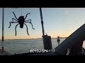 Faro del Muelle de Carril SPA-117