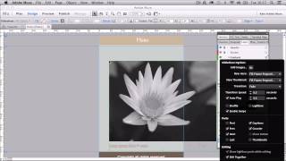 Finishing Off Our Adobe Muse Website