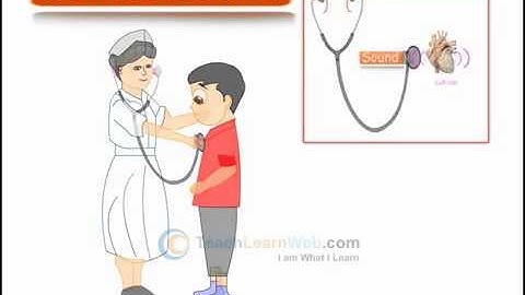 CBSE Science class 9 demo SOUND REFLECTION OF SOUND