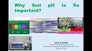 Why Soil pH Is So Important? By Dr. P. C. Patel