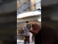 بايعناك يا كرار جينه نجدد البيعه
