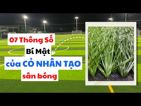 7 Bí Mật Về Cỏ Nhân Tạo Sân Bóng Mà Bạn Nên Biết
