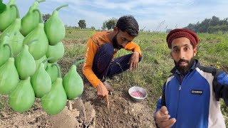 New Vegetables Bhi Aa Gaien Azmat