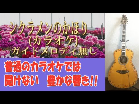 【高齢者向け】「シクラメンのかほり」1975年。　カラオケ　ガイドメロディ無し。