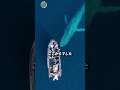 空母で魚にエサ禁止…その理由が危険すぎた