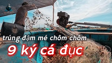 lưới cá đục đen//cuộc sống dân biển//hành nghề thuyền thúng