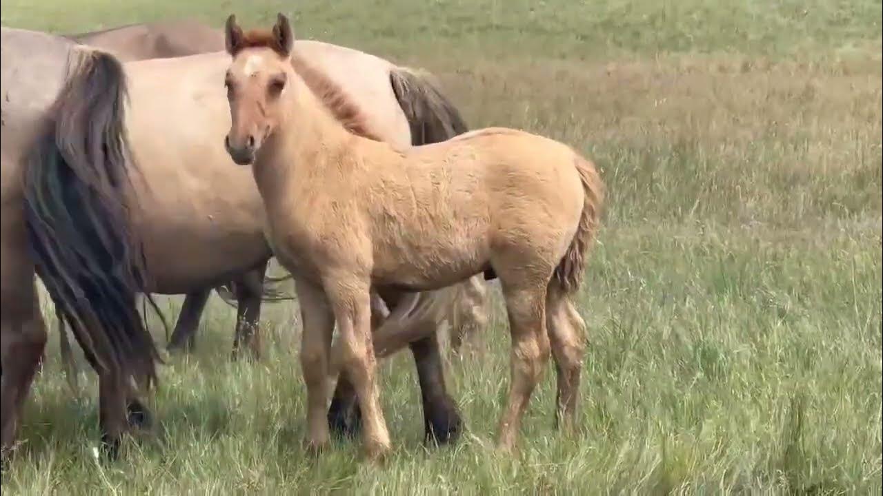 Ескі әже порно видеоны қараңыз Клизмамен жыныстық қатынас суреттері