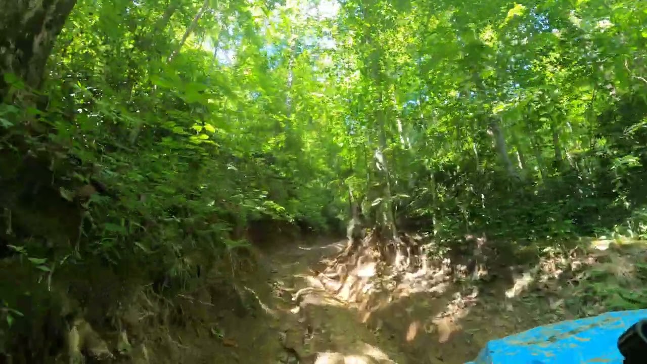 Pinnacle Creek Trail 94 8/27/2022