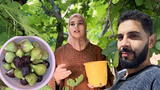 مرض اطفال غبرنا عليكم واجابة على بعض الاستفسارات ديلكم 