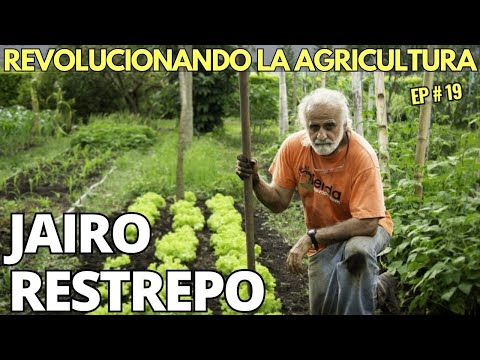 Video: Acerca de la 