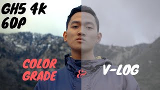 Panasonic GH5 | V-Log Before & After Color Grade