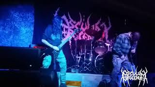 Osculum Obscenum - Reptiliano Grisáceo Mamiferoide