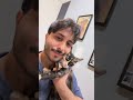تحتاجون قط توكسيدو للترند هذا قطط هتضحك  كوميديات اكسبلور  