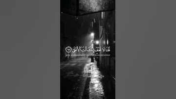 فَأَوْجَسَ فِي نَفْسِهِ خِيفَةً مُوسَى ‏| شريف مصطفى | حالات واتس اب | قران كريم