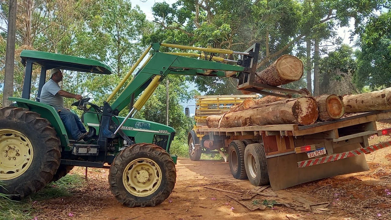 ELE FAZ DE TUDO COM  A MADEIRA DE EUCALIPITO