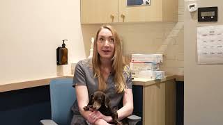 Bon Vet | A New Kind of Vet & Animal Hospital in the Upper East side 🐕