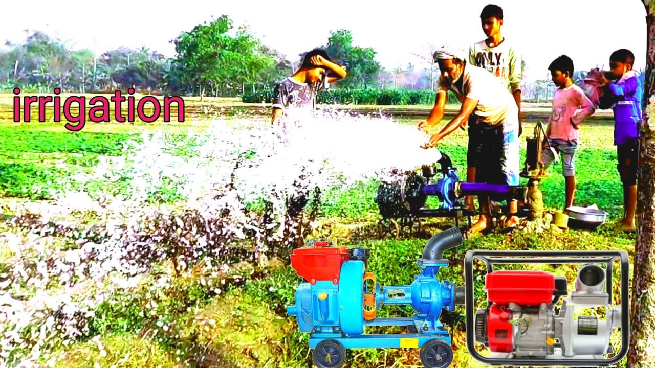IRRIGATION BY DIESEL ENGINE || নতুন পাম্প আর ইঞ্জিন রিপেয়ার করার পর মাঠে এলাম জল তুলতে।