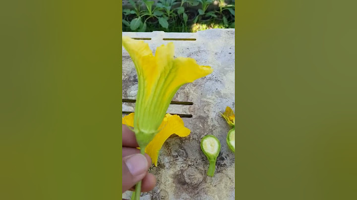 ม อละอองเรณ ตกลงบนยอดของเกสรต วเม ยเราเร ยกกระบวนการน ว าอะไร