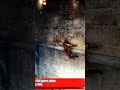 Prince of Percia the Fortress