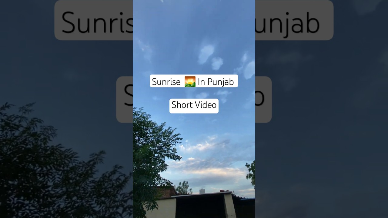 Beautiful 😍 North India 🇮🇳 Punjab Weather In Morning after Rain 25 May