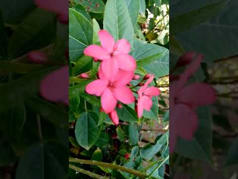 Qatip dammam ksa! Qatip dammam ksa!