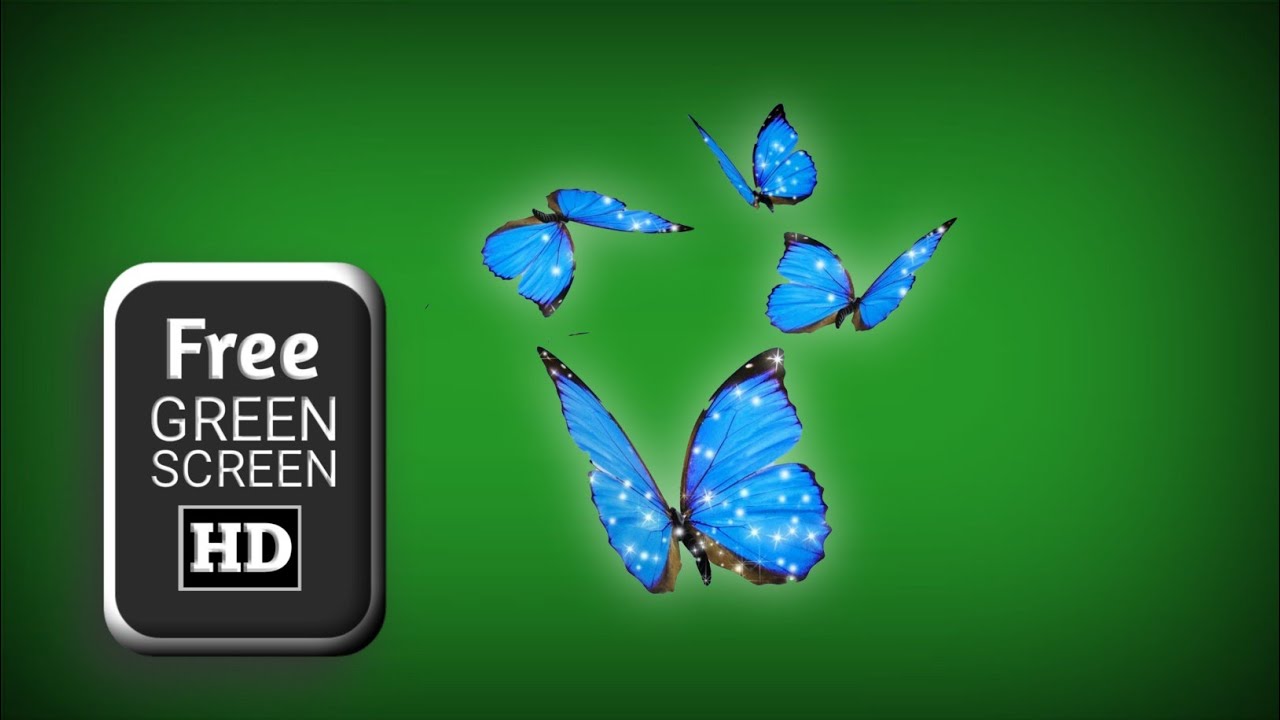 Green screen blue butterflies flying effects | butterfly green screen ...