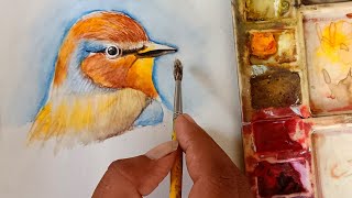 how to draw a birds step by step?| Watercolor bird painting #art#painting#birdpainting#supportmyart