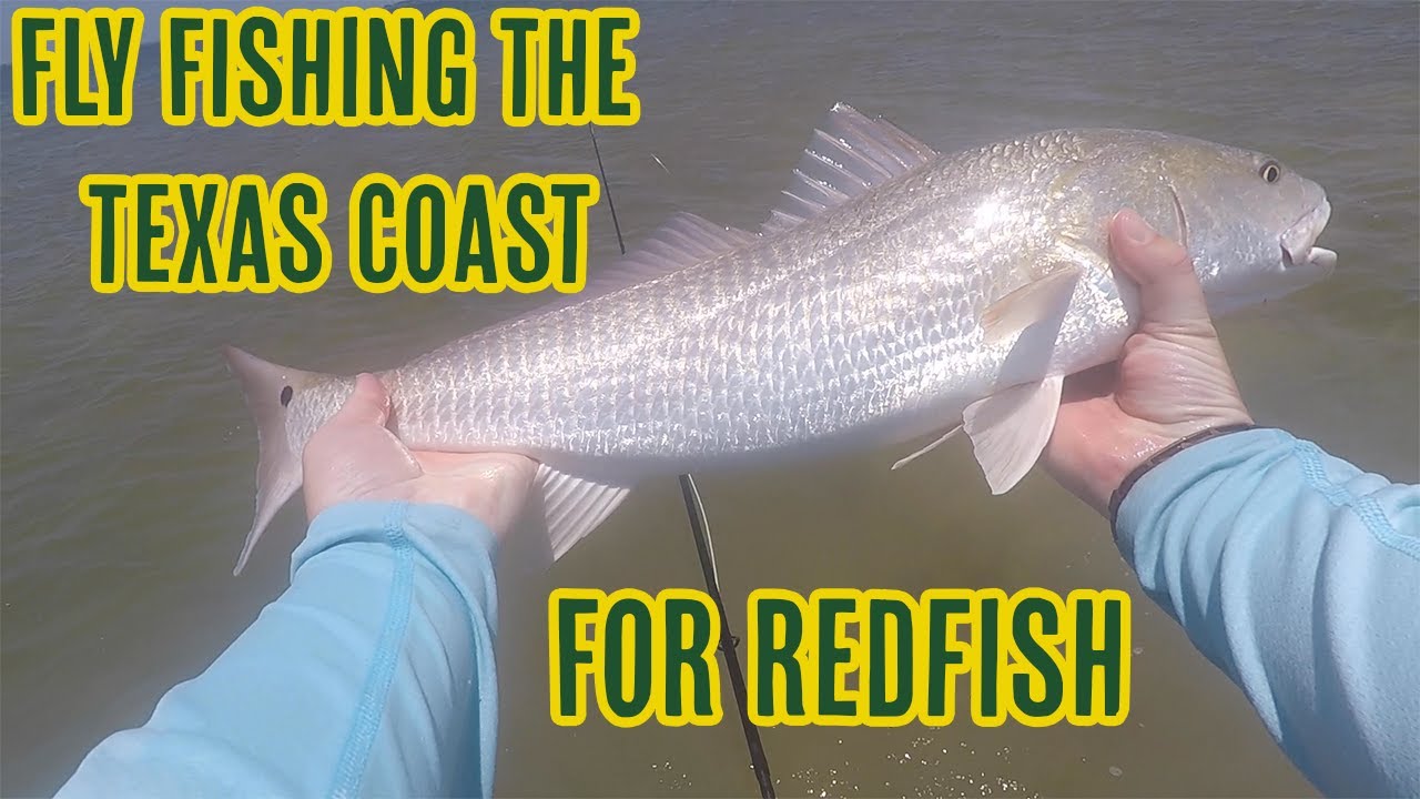 Fly Fishing The Texas Coast For Redfish 1 YouTube