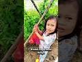Panen bunga obat#shootsvideo