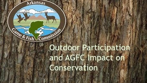 Conservation and Participation