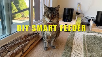 DIY Smart Cat Feeder with RFID