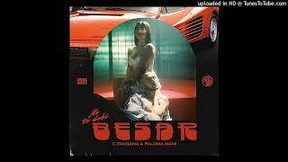 NO TE DEBI BESAR - C. Tangana, Paloma Mami (audio)