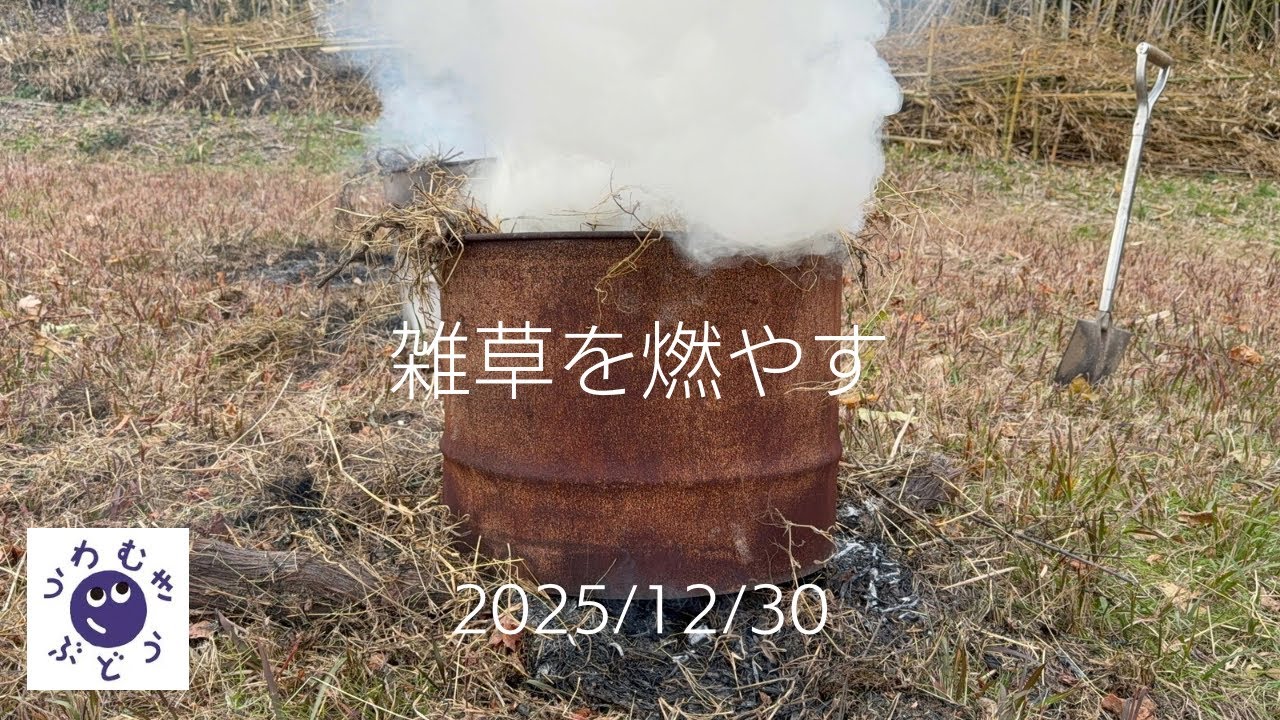 #341 雑草を燃やす
