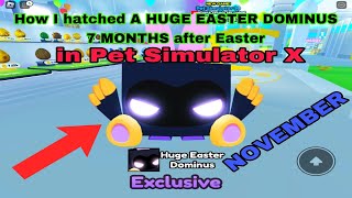 How I Hatched A HUGE EASTER DOMINUS 7 MONTHS after Easter