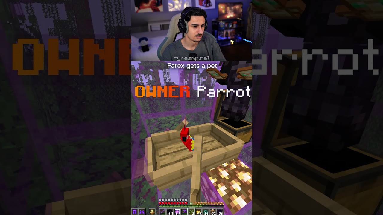 Farex gets his first pet