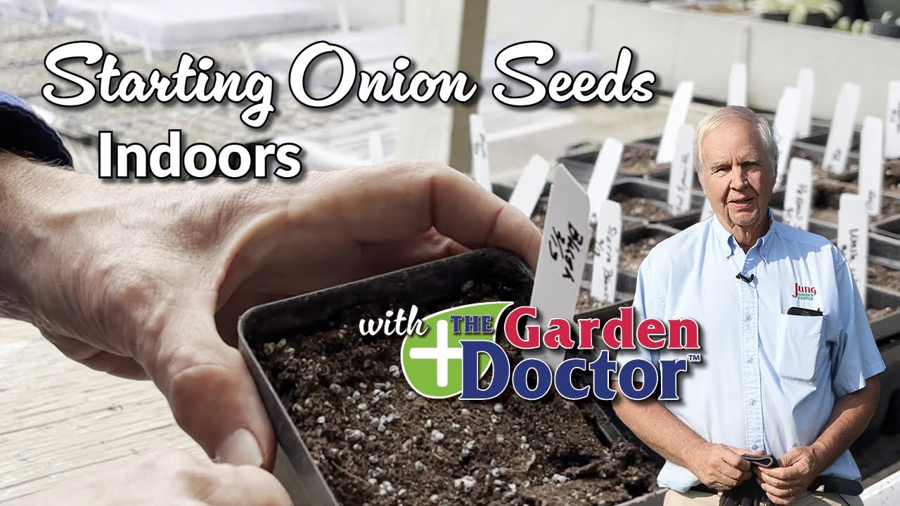 Starting Onion Seeds Indoors