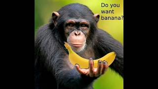 Apex Ranked PLatin elo Hardstuck