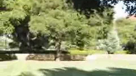 3-d flythough from a single image