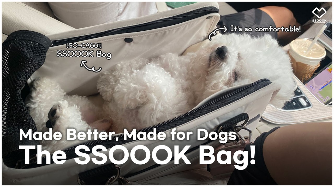 Why It's a Must-Have | SSOOOK Bag 🎒✨ - YouTube