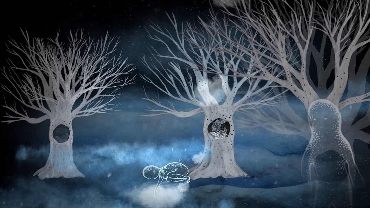 Hidden Soul of The Fjords - Trees That Whisper - Official Music Video